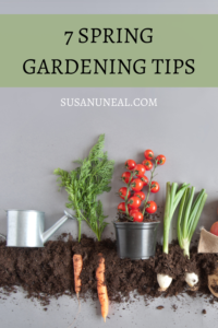 Seven Steps to Create Your Own Vegetable Garden