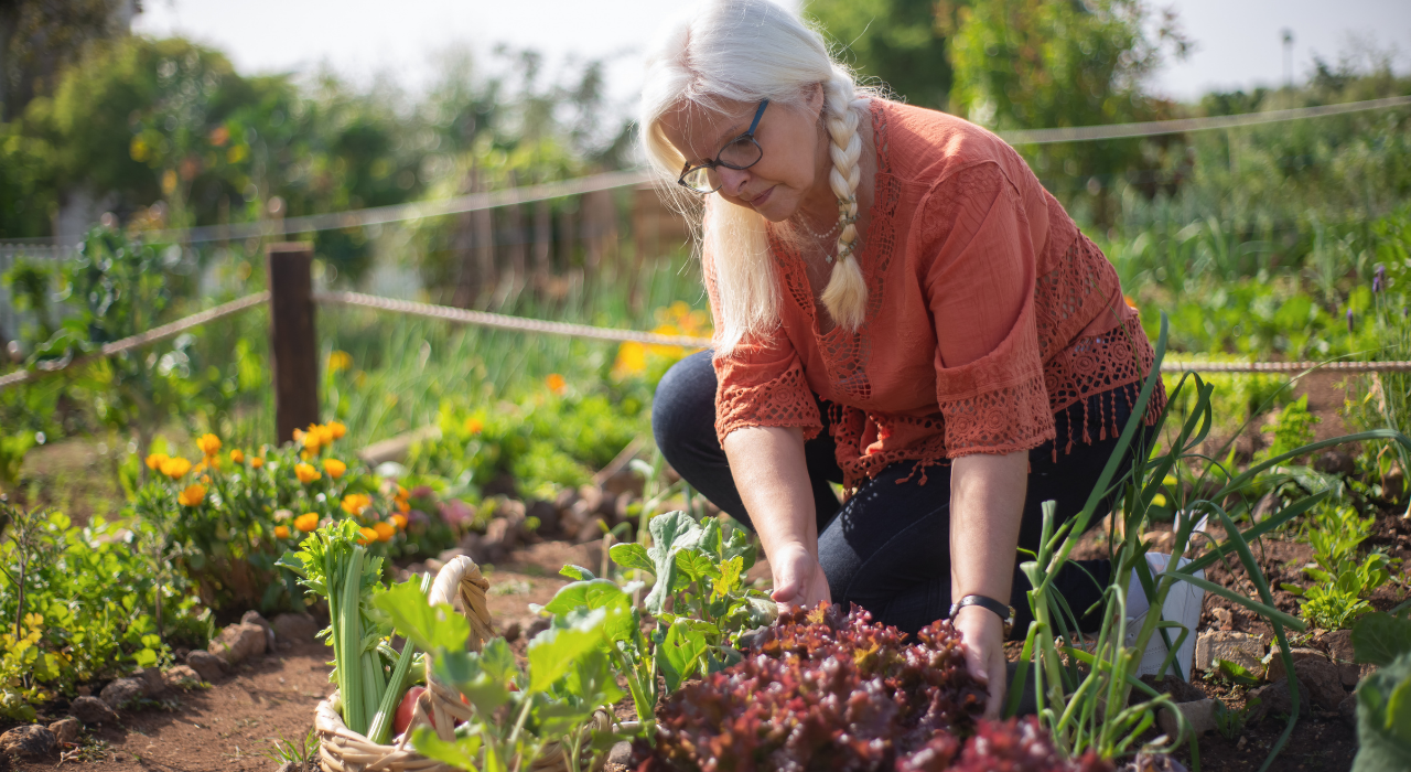 Seven Steps to Create Your Own Vegetable Garden