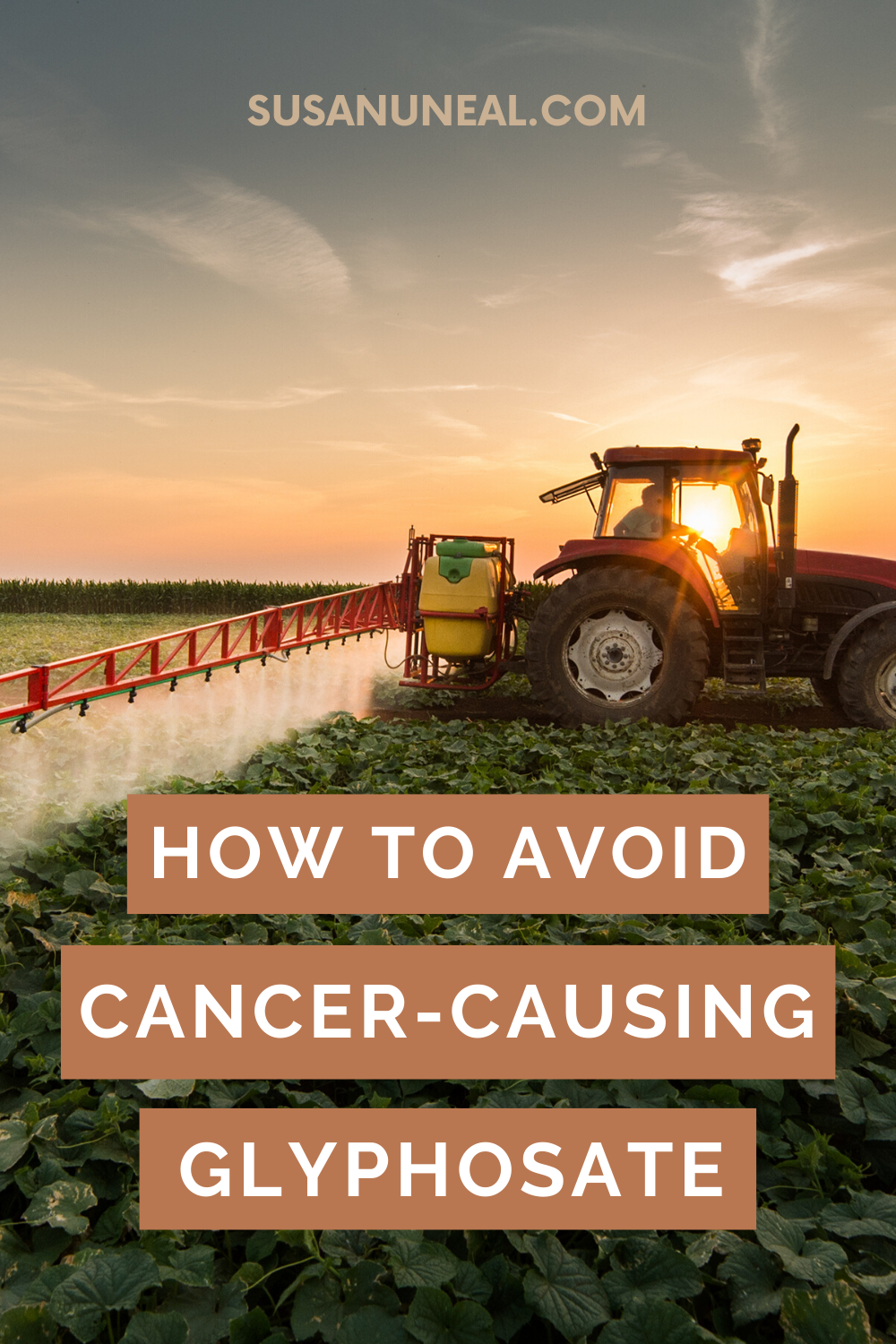 4 Dangers with Today’s Foods - Glyphosate, GMO's, Celiac Disease, & Gluten