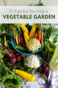15 Tips for Starting a Vegetable Garden