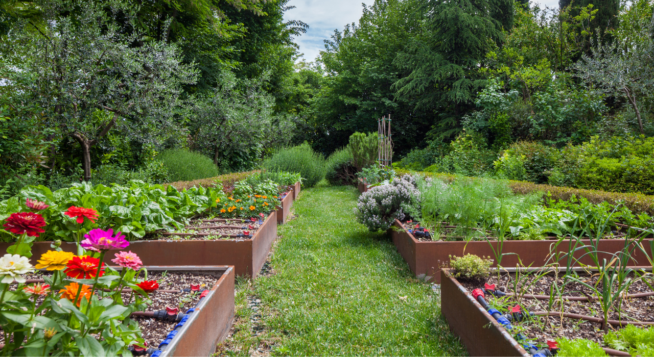 15 Tips for Starting a Vegetable Garden