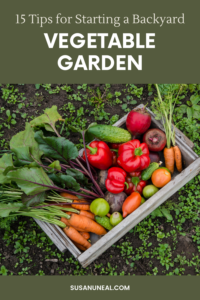 15 Tips for Starting a Vegetable Garden