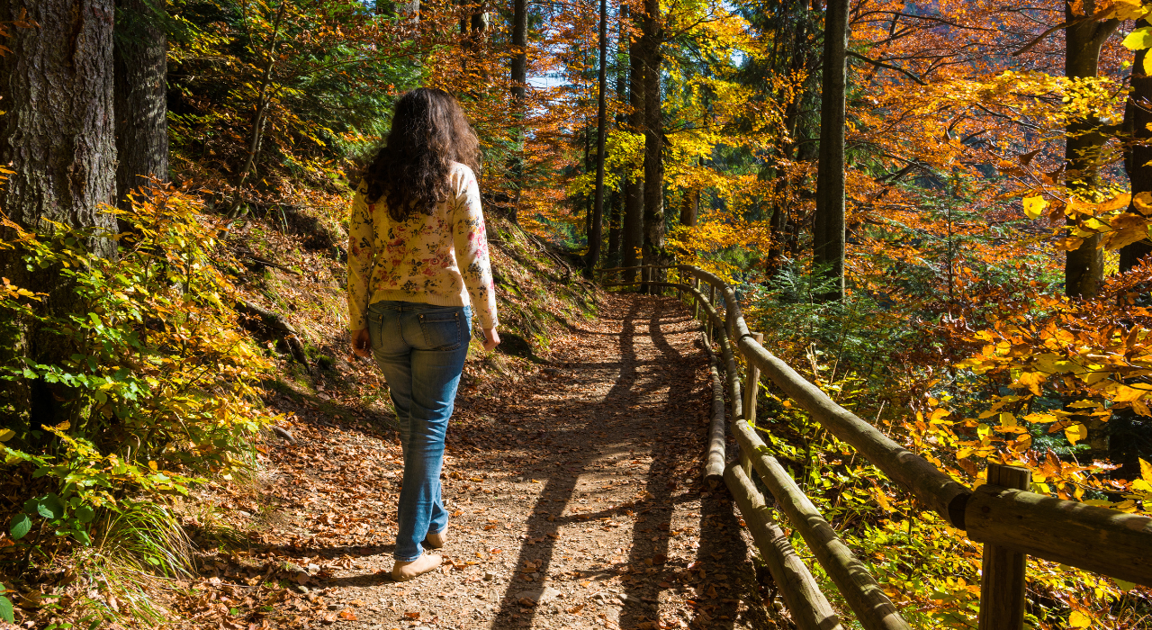 how to live a healthy lifestyle